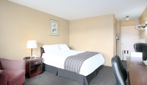 Chambre Standard, 1 grand lit