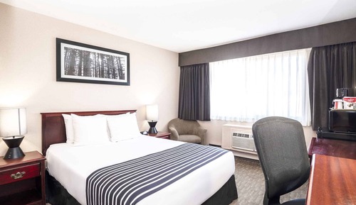 Chambre Standard, 1 grand lit