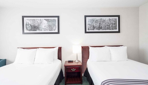 Chambre Standard, 2 lits doubles