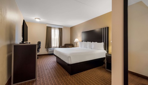 Chambre Standard, 1 très grand lit, non-fumeurs, réfrigérateur et four à micro-ondes