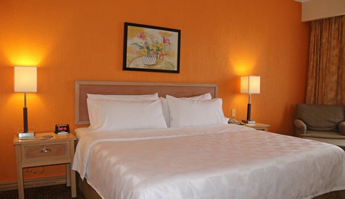 Chambre Standard