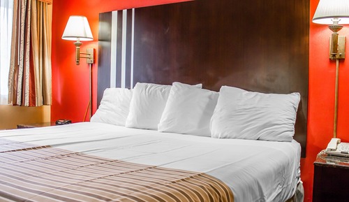 Chambre Standard, 1 très grand lit, fumeurs