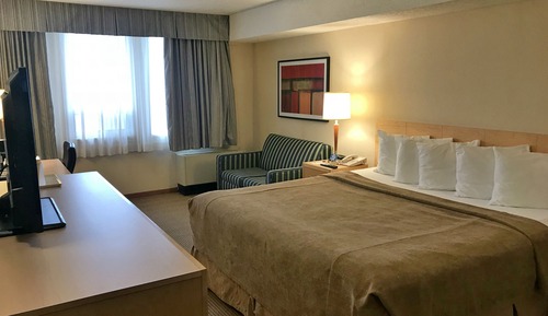 Chambre Affaires, 1 grand lit et 1 canapé-lit, non-fumeurs