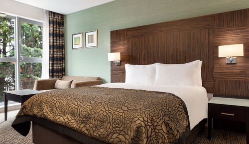 Chambre Premium, 1 grand lit et 1 canapé-lit