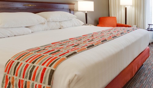 Chambre Deluxe, 1 très grand lit, réfrigérateur et four à micro-ondes