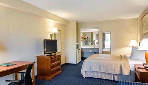 Chambre Standard, 1 très grand lit, non-fumeurs