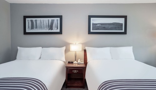 Chambre Standard avec lits jumeaux, 2 lits doubles