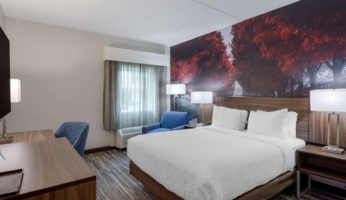 Chambre, 1 grand lit, accessible aux personnes à mobilité réduite, non-fumeurs