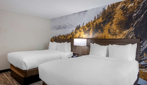 Chambre Standard, 2 lits doubles, non-fumeurs