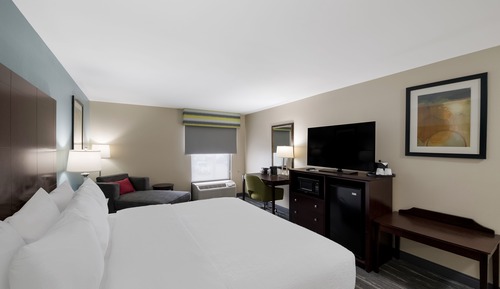 Chambre, 1 très grand lit, accessible aux personnes à mobilité réduite, non-fumeurs