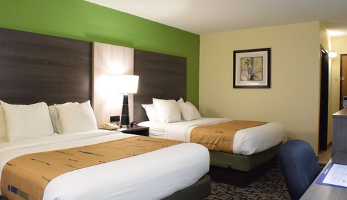 Chambre Standard, 2 grands lits, accessible aux personnes à mobilité réduite (Walk-in Shower)
