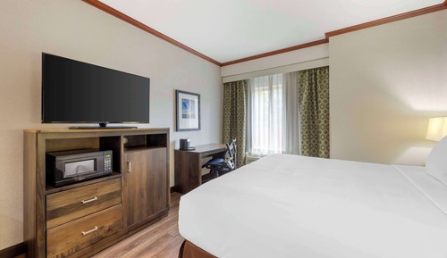 Chambre Standard, 1 très grand lit, non-fumeurs, four à micro-ondes