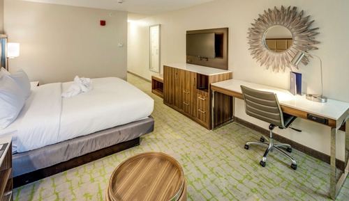 Chambre, 1 très grand lit, accessible aux personnes à mobilité réduite (Roll-In Shower)