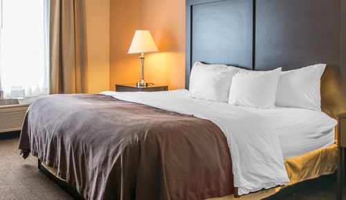 Chambre Standard, 1 très grand lit et 1 canapé-lit, non-fumeurs (Roll-In Shower)