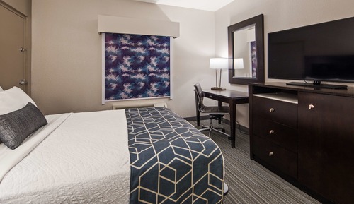 Chambre Standard, 1 grand lit, accessible aux personnes à mobilité réduite
