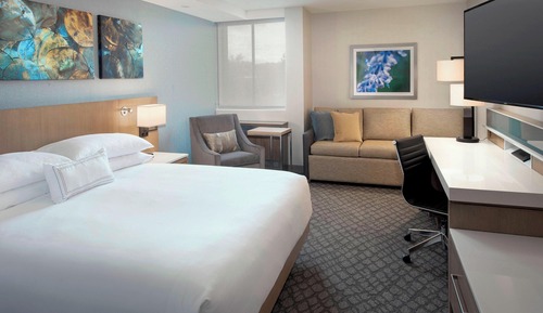 Chambre, 1 très grand lit et 1 canapé-lit (Mobility/Hearing Accessible, Tub)