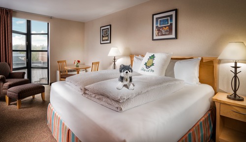 Chambre Deluxe, 1 très grand lit