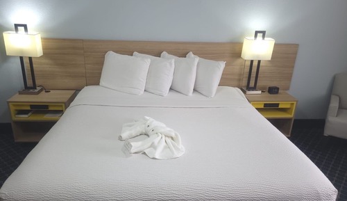 Chambre, 1 très grand lit, accessible aux personnes à mobilité réduite, non-fumeurs (Roll-In Shower)