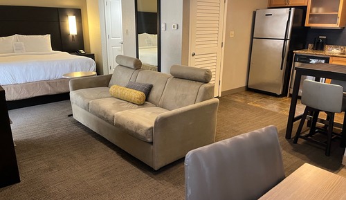 Studio, 1 très grand lit et 1 canapé-lit (Mobility/Hearing Accessible, Tub)