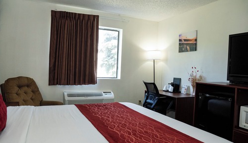 Chambre Simple Confort, 1 très grand lit, accessible aux personnes à mobilité réduite (42 inch TV)