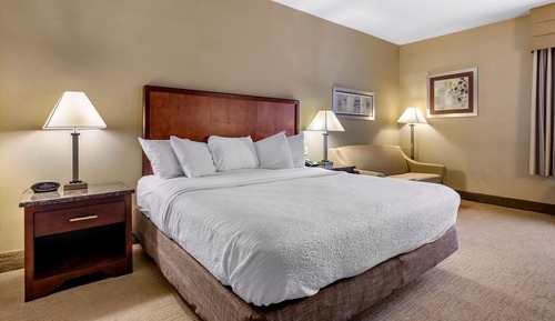 Chambre Standard, 1 très grand lit, non-fumeurs, réfrigérateur et four à micro-ondes