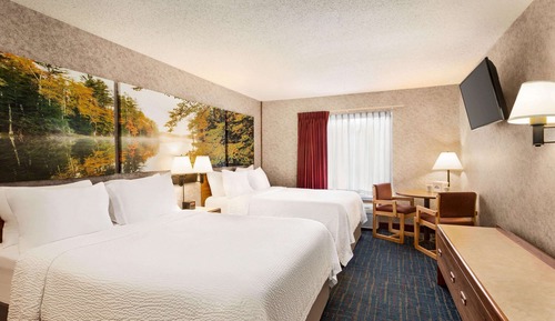 Suite, 1 grand lit