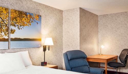 Chambre Affaires, 1 très grand lit, non-fumeurs (Pet Friendly)