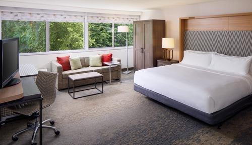 Chambre Standard, 1 très grand lit (Mobility Roll-In Shower)