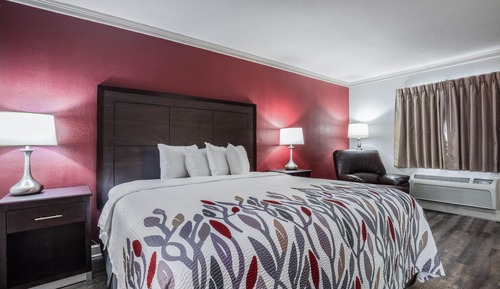 Chambre Supérieure, 1 très grand lit, accessible aux personnes à mobilité réduite (Roll-In Shower)