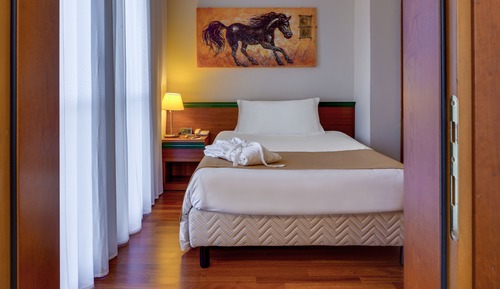 Chambre Double Standard pour 1 personne, 1 très grand lit