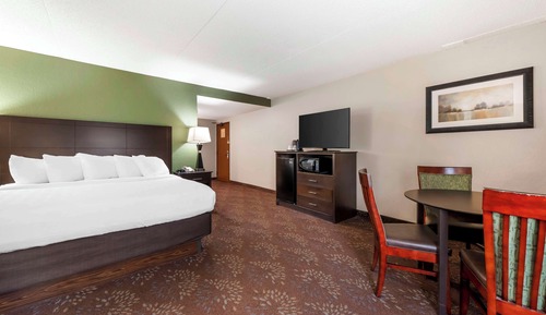 Chambre Standard, 1 très grand lit, non-fumeurs (Oversized Room;with Sofabed)