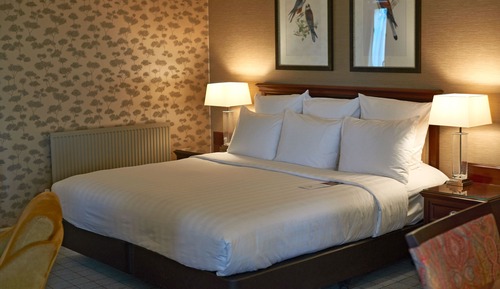 Chambre Double Junior, 1 très grand lit