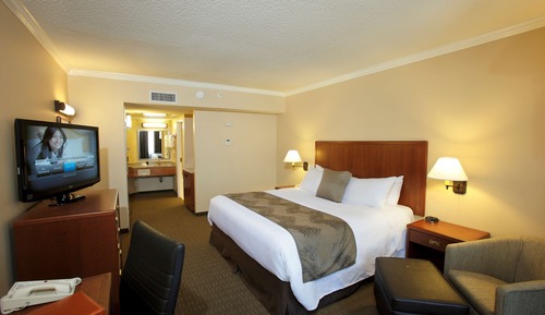 Chambre Standard, 1 grand lit, non-fumeurs, patio (Small Room)
