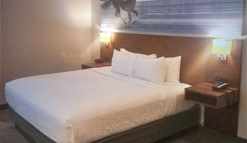 Chambre, 1 très grand lit, accessible aux personnes à mobilité réduite, non-fumeurs