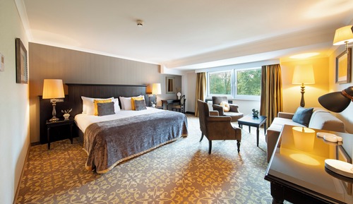 Chambre Supérieure Double ou avec lits jumeaux