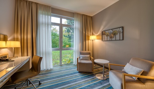 Chambre Standard, 1 grand lit
