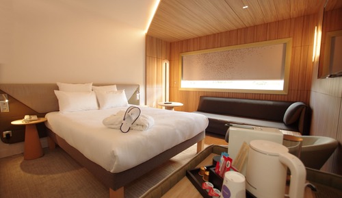Chambre Familiale, 1 lit double et 1 canapé-lit (Executive)