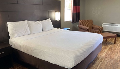 Chambre, 1 très grand lit, réfrigérateur et four à micro-ondes