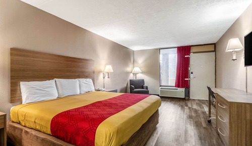 Chambre Standard, 1 très grand lit, non-fumeurs