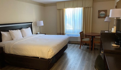 Chambre, 1 très grand lit, accessible aux personnes à mobilité réduite, non-fumeurs (Roll in Shower)