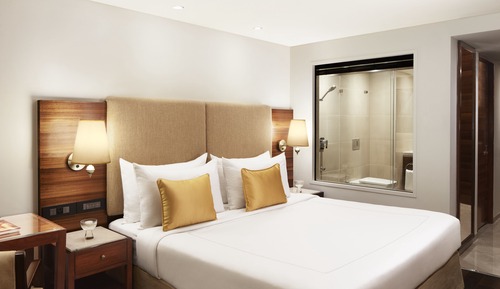 Chambre Standard, 1 grand lit (No View)