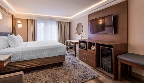 Chambre Standard, 1 très grand lit, non-fumeurs, réfrigérateur et four à micro-ondes (with Sofabed)