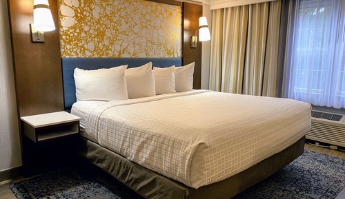 Chambre Standard, 1 très grand lit, accessible aux personnes à mobilité réduite (Walk-in Shower)