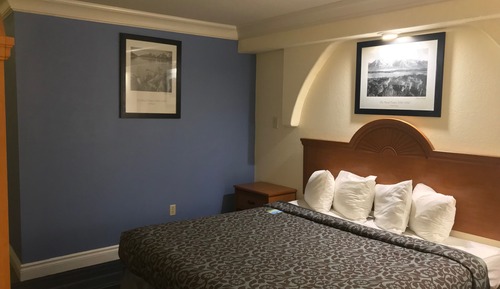 Chambre, 1 très grand lit, accessible aux personnes à mobilité réduite, non-fumeurs (Roll-In Shower)