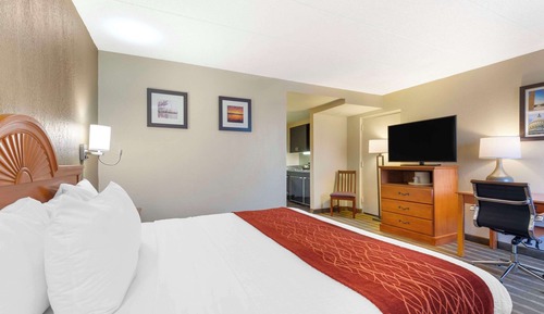 Chambre, 1 très grand lit, accessible aux personnes à mobilité réduite, non-fumeurs (Efficiency)