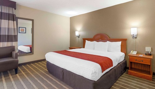 Chambre, 1 très grand lit, accessible aux personnes à mobilité réduite, non-fumeurs (Efficiency)