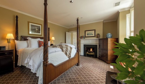 Suite Premium, 1 très grand lit et 1 canapé-lit