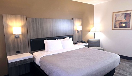 Chambre, 1 très grand lit, accessible aux personnes à mobilité réduite, non-fumeurs (Roll-In Shower)
