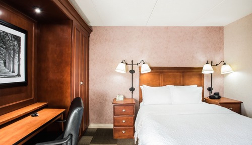 Chambre, 1 grand lit, accessible aux personnes à mobilité réduite (Roll-In Shower)