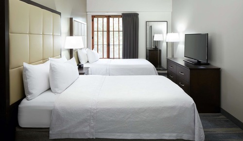Suite, 1 chambre, 2 lits doubles et 1 sofa lit